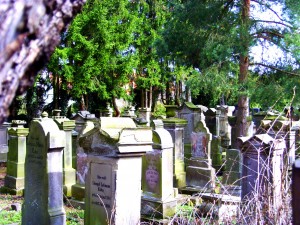 Digital Camera
