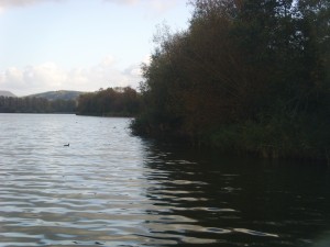 Digital Camera