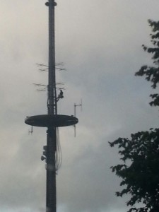 20150901 Arbeiter an Sendeturm RFM